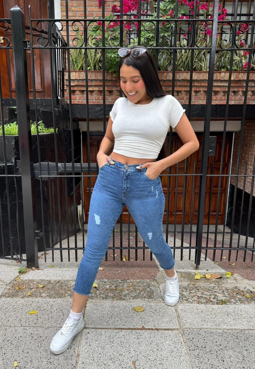 Alternative view of PARIS (CAPRI ELASTIZADA)